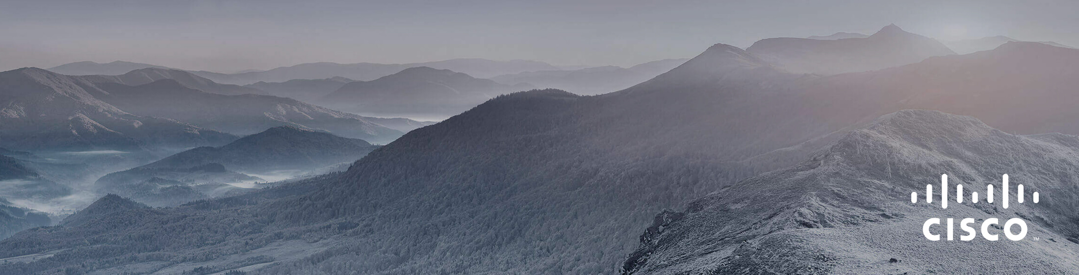 Cisco producten koop je bij Netwerk Outlet